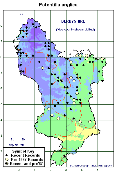 2 kilometre map image